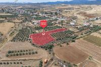 5426 SQM Land · Potami (Nicosia) for sale 