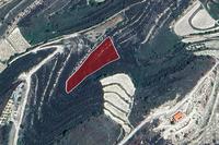 3679 SQM Land · Pachna (Limassol) for sale 