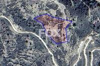 5686 SQM Land in Arminou (Paphos) for sale 