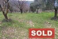 6355 SQM Land in Fyti (Paphos) for sale 