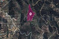 13044 SQM Land · Gourri (Nicosia) for sale 