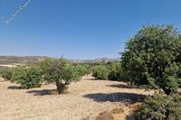 77347 SQM Land · Palodeia (Limassol) for sale 