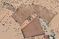 2676 SQM Land in Mazotos (Larnaca) for sale 