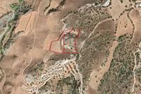 12375 SQM Land in Nata (Paphos) for sale 