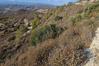27425 SQM Land in Asgata (Limassol) for sale 