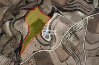 13444 SQM Land in Stroumbi (Paphos) for sale 