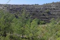 15218 SQM Land · Lofou (Limassol) for sale 