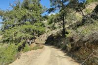 1348 SQM Land in Moutoullas (Nicosia) for sale 