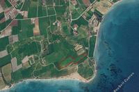 36456 SQM Land · Mazotos (Larnaca) for sale 