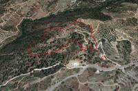 8650 SQM Land · Agios Pavlos Village (Limassol) for sale 