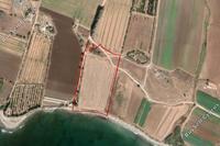 24081 SQM Land · Timi (Paphos) for sale 