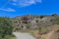 6934 SQM Land · Pelendri (Limassol) for sale 
