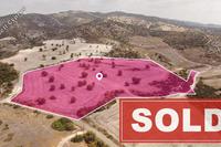 27050 SQM Land in Kofinou (Larnaca) for sale 