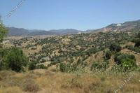 19064 SQM Land in Statos Agios Fotios (Paphos) for sale 
