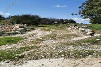 12542 SQM Land in Pachna (Limassol) for sale 