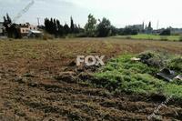 3679 SQM Land in Episkopi Lemesou (Limassol) for sale 