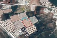 1673 SQM Land · Anafotida (Larnaca) for sale 