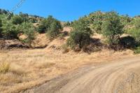 8529 SQM Land · Pano Pyrgos (Nicosia) for sale 