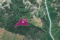 6689 SQM Land in Agios Theodoros Larnacas (Larnaca) for sale 