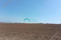 9700 SQM Land · Astromeritis (Nicosia) for sale 
