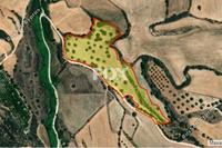22223 SQM Land in Steni (Paphos) for sale 
