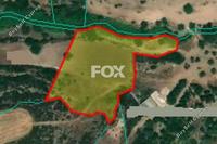 6882 SQM Land in Neo Chorio (Paphos) for sale 