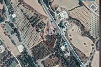 2342 SQM Land in Goudi (Paphos) for sale 