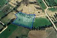 4325 SQM Land · Anafotida (Larnaca) for sale 