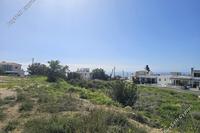 1027 SQM Land in Tala (Paphos) for sale 