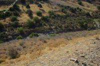 12375 SQM Land in Peyia (Paphos) for sale 