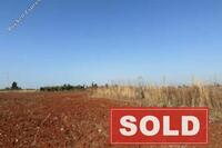 5603 SQM Land in Avgorou (Famagusta) for sale 