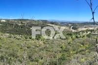 6689 SQM Land in Tsada (Paphos) for sale 
