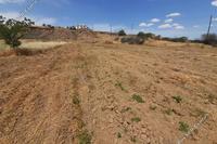 5533 SQM Land in Palaiometocho (Nicosia) for sale 