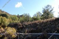 0 SQM Land in Agridia (Limassol) for sale 