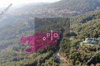2370 SQM Land in Pano Platres (Limassol) for sale 