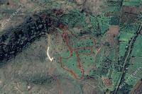 10254 SQM Land · Pigenia (Nicosia) for sale 
