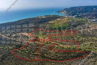 161527 SQM Plot · Pissouri (Limassol) for sale 