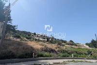 3590 SQM Land in Parekklisia (Limassol) for sale 