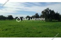 3345 SQM Land · Mazotos (Larnaca) for sale 