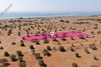 3512 SQM Land · Mazotos (Larnaca) for sale 