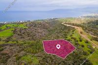 5352 SQM Land in Neo Chorio (Paphos) for sale 