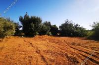 2665 SQM Land · Paralimni (Famagusta) for sale 