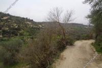10034 SQM Land in Kallepeia (Paphos) for sale 