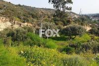 15800 SQM Land · Kalavasos (Larnaca) for sale 