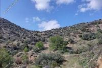 7693 SQM Land · Kapileio (Limassol) for sale 