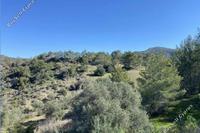 59198 SQM Land · Lysos (Paphos) for sale 
