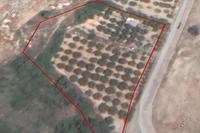 4683 SQM Land in Agia Fyla (Limassol) for sale 