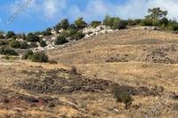 6021 SQM Land in Amargeti (Paphos) for sale 