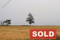 6695 SQM Land in Ormideia (Larnaca) for sale 