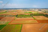 9600 SQM Land in Frenaros (Famagusta) for sale 